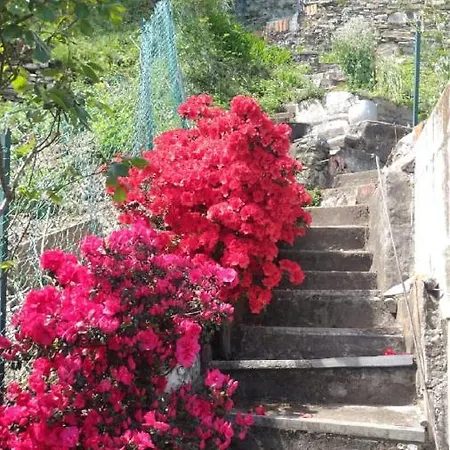 Bild Lago Maggiore カンノビオ